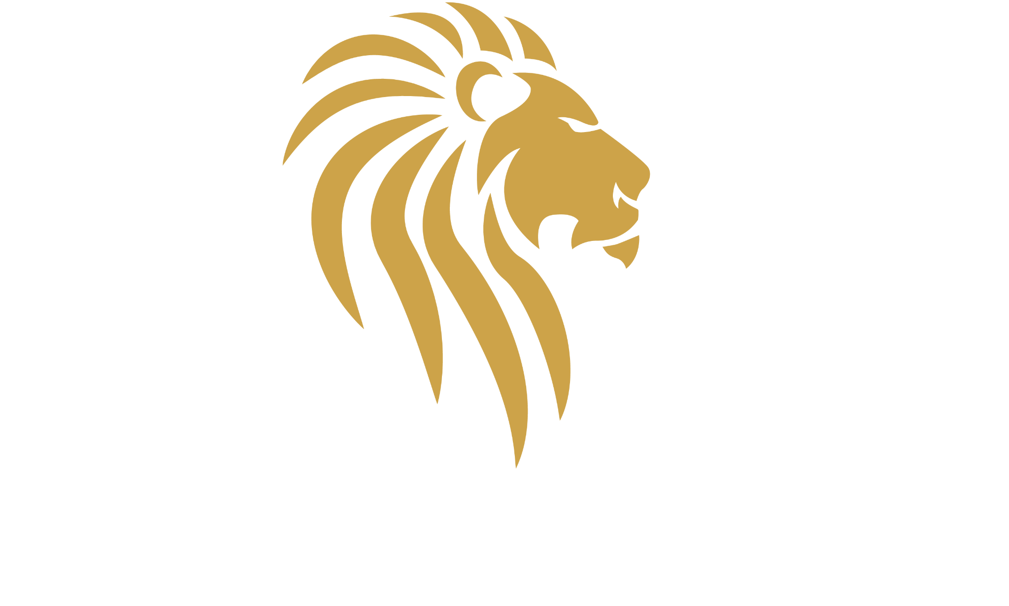 Logo Solara MKT